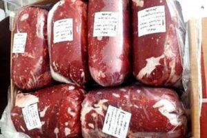 واردات گوشت به‌ صورت قبض انباری 